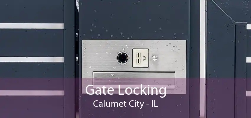 Gate Locking Calumet City - IL
